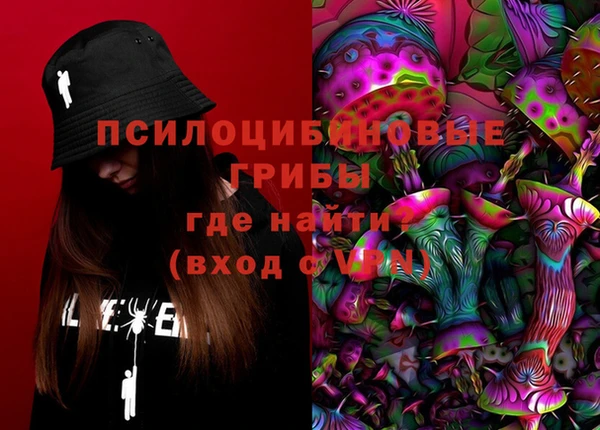 ГАЛЛЮЦИНОГЕННЫЕ ГРИБЫ Козельск