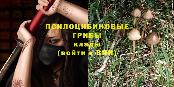 ГАЛЛЮЦИНОГЕННЫЕ ГРИБЫ Козельск